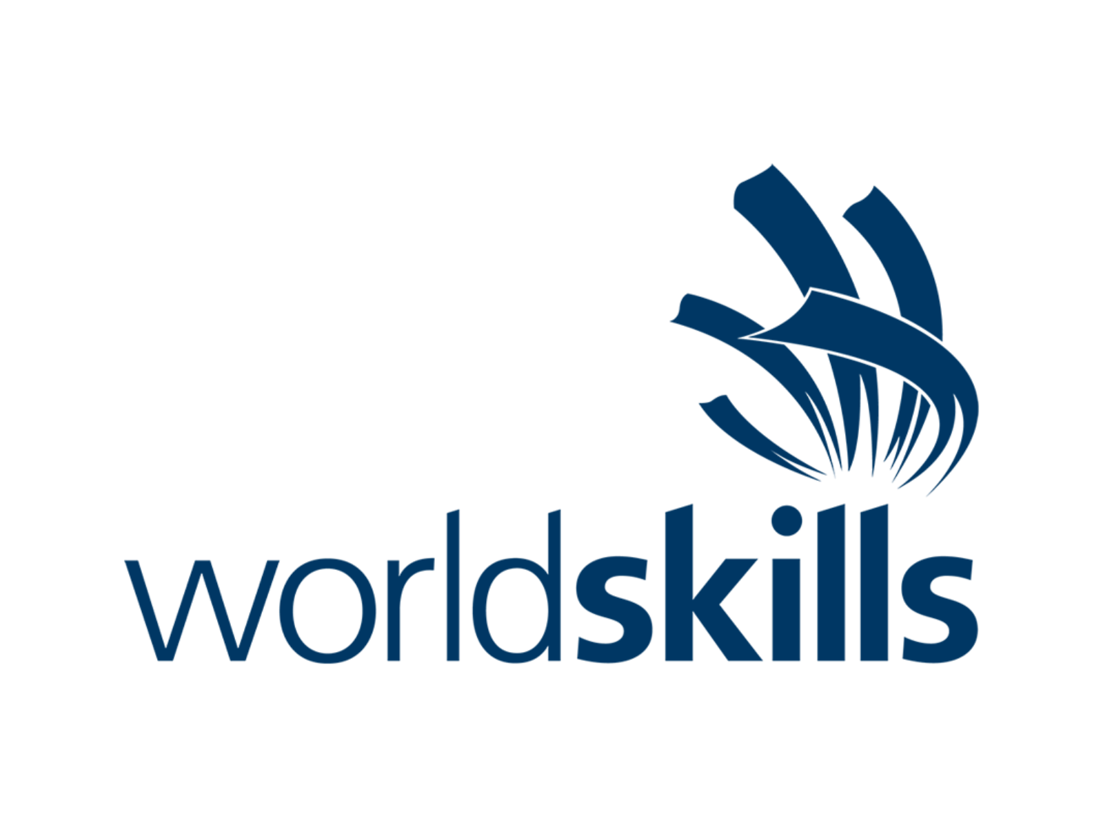 Команда Алтайского края примет участие в финале «WorldSkills»