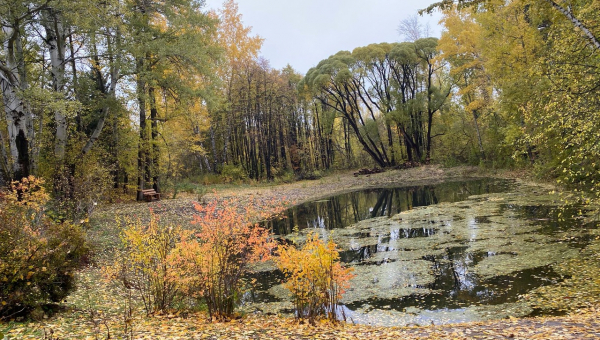 Подведены итоги краевого конкурса фотомастерства  «Взгляд на природу. Алтай-2021»