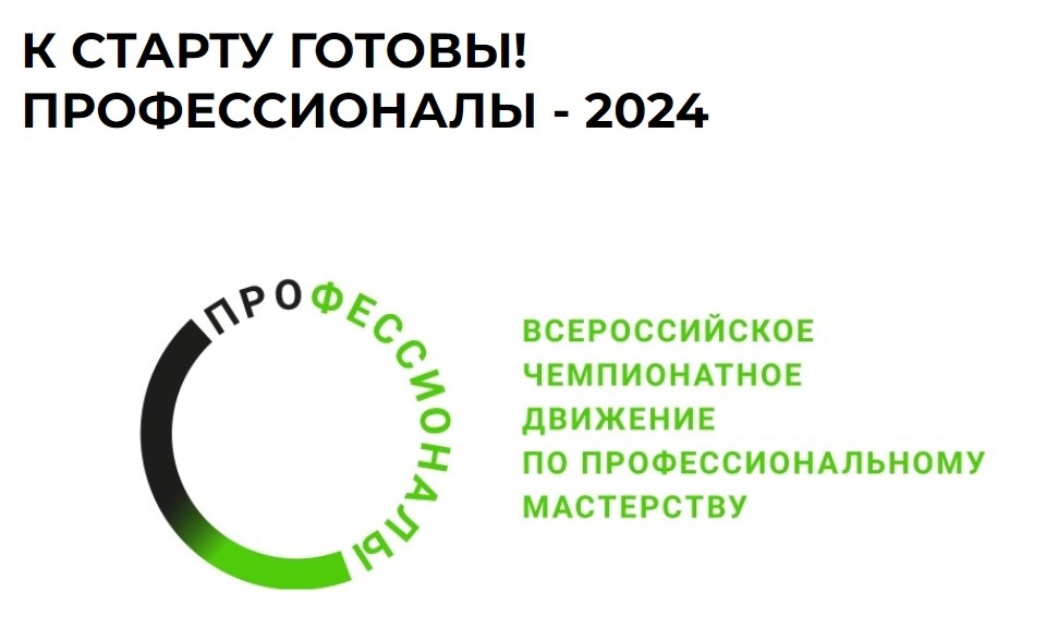 ПРОФЕССИОНАЛЫ 2024