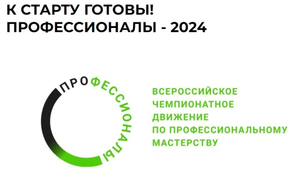 ПРОФЕССИОНАЛЫ 2024