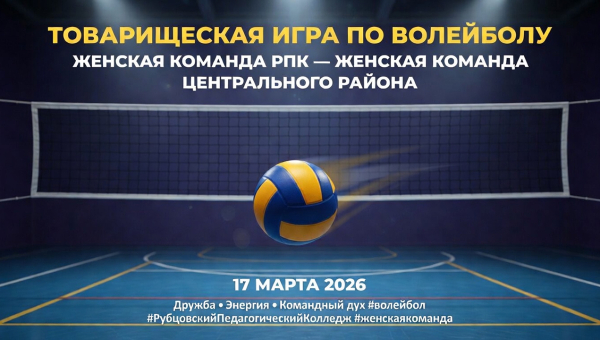 Товарищеская игра по волейболу