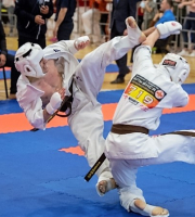 1-й Чемпионат и Первенство России Альянса «Открытый Киокушин»